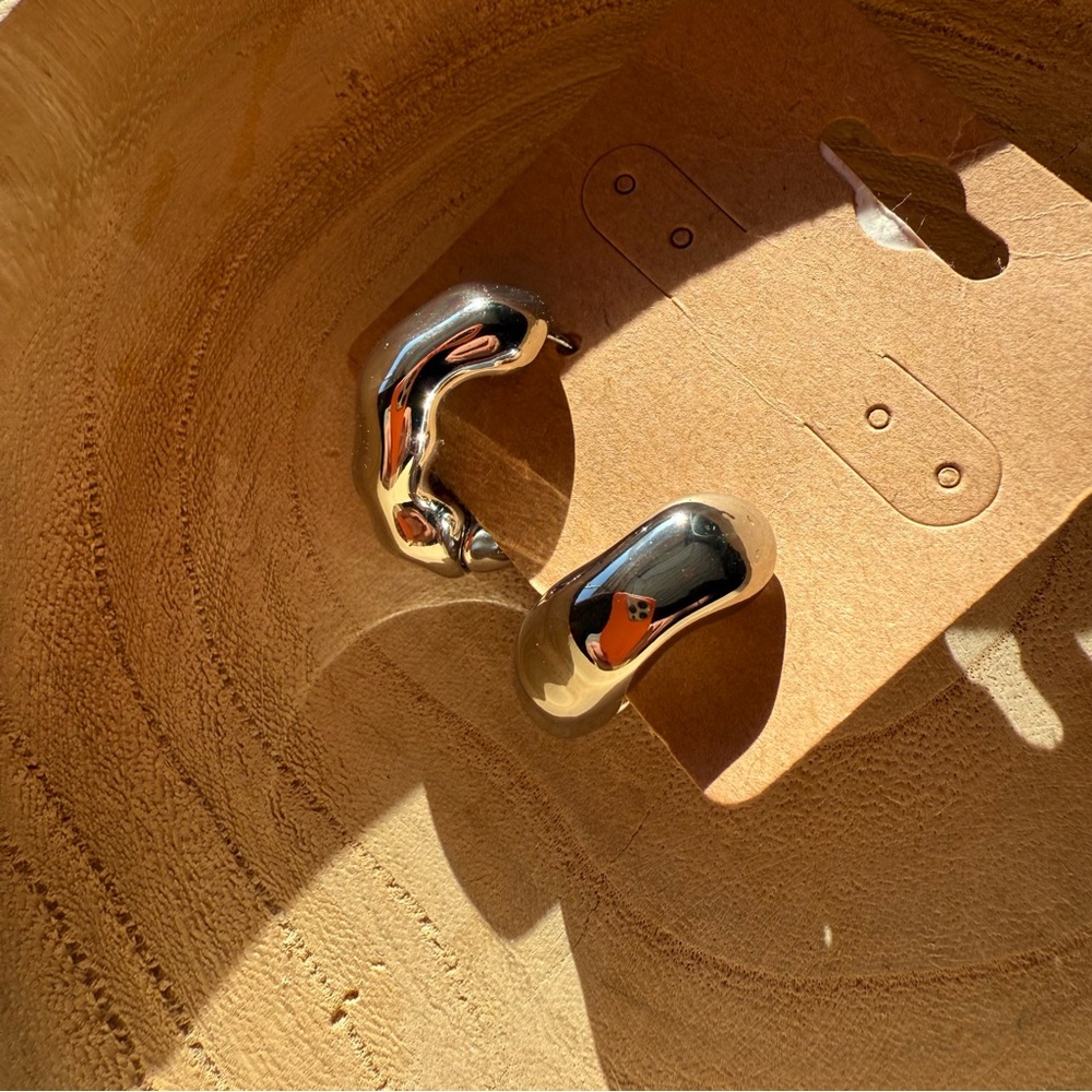 Anthropologie Silver Hoop Earrings